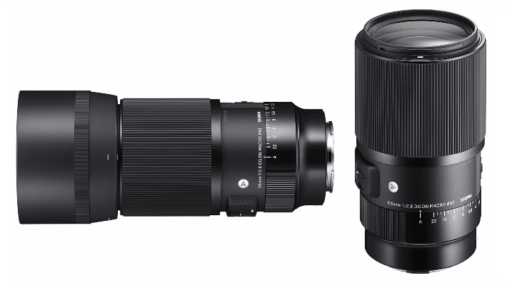 Sigma 105mm f/2.8 DG DN Macro Art Lens for Sony E